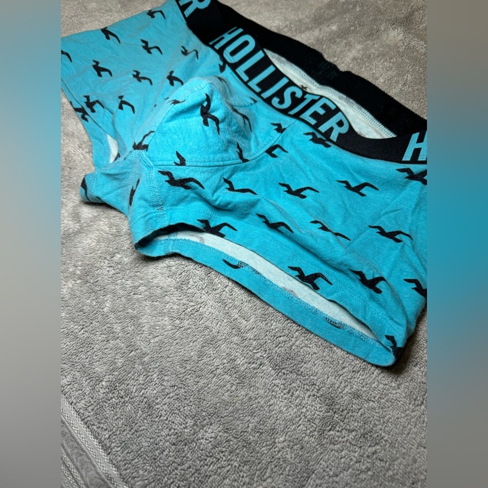 Hollister Boxer Brief - Picture 3 of 7